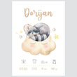 Učitaj sliku u galeriju HIA Kids - Dreaming Raccoon - personalizirana ilustracija