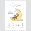 Učitaj sliku u galeriju HIA Kids - Teddy's Moon Adventure - personalizirana ilustracija
