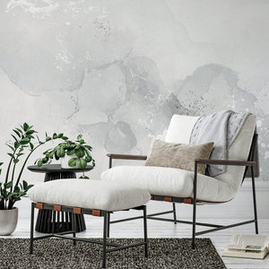 Splash of Gray - Zidna Tapeta - Mural
