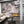 Učitaj sliku u galeriju Urban Flora Rose - Zidna Tapeta - Mural
