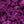 Učitaj sliku u galeriju *RASPRODAJA* Purple Leaves - Zidna tapeta 370x230 cm
