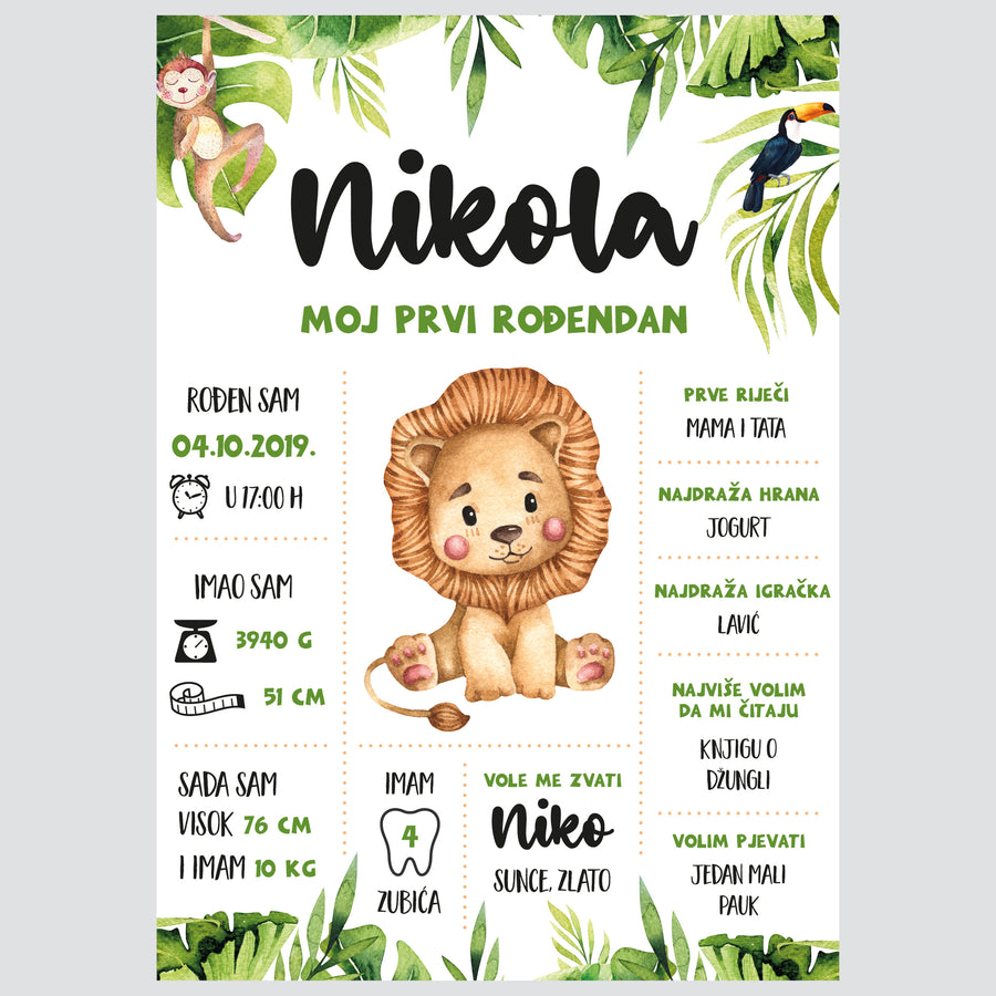 HIA Kids - Brave Lion - personalizirana ilustracija