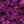Učitaj sliku u galeriju *RASPRODAJA* Purple Leaves - Zidna tapeta 370x230 cm
