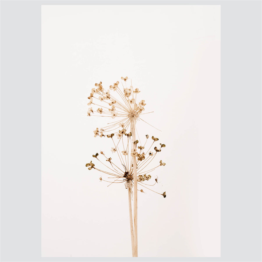 Marvelous Fields - Posteri (bez okvira) ili Slike Na Platnu (spremne za na zid)
