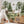 Učitaj sliku u galeriju Secret Life Of The Forest @HIAWorkshop® - Zidna Tapeta - Mural
